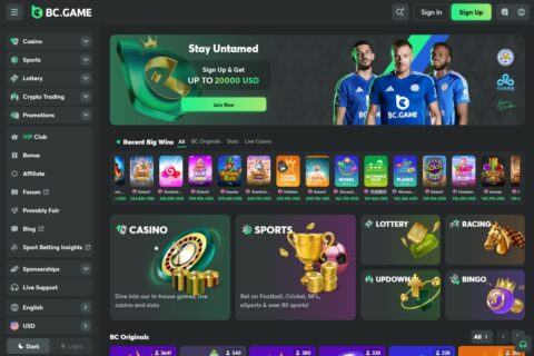 Découvrez l'univers du Bc Game Casino Online 4