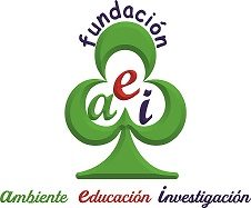 Fundacion-aei.com